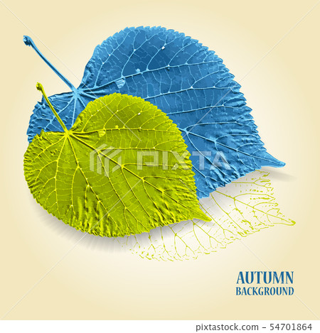 Autumn background with leaves.  54701864
