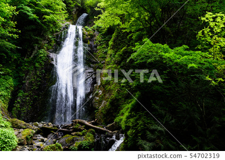 Retrospective waterfall 54702319