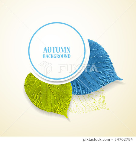 Autumn background with leaves. 54702794
