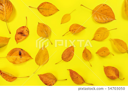 Orange coloured autumn leaves on yellow board, top down view Orange coloured autumn leaves on yellow board, top down view 54703050