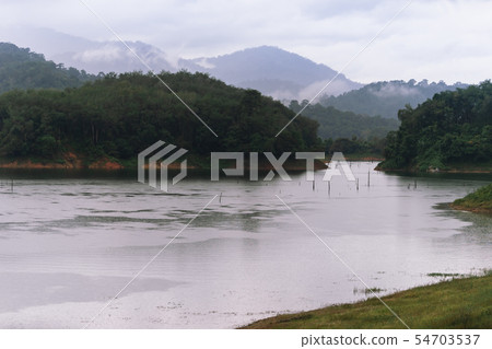 Forest and water landscape at Hala-Bala Wildlife Forest and water landscape at Hala-Bala Wildlife 54703537