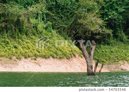 Forest and water landscape at Hala-Bala Wildlife Forest and water landscape at Hala-Bala Wildlife 54703546