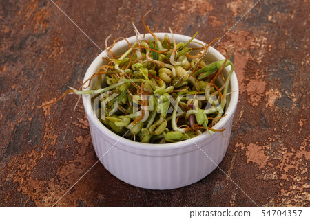 Mash bean sprout Mash bean sprout 54704357