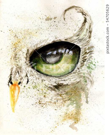 Owl Eye Art Owl Eye Art 54705629