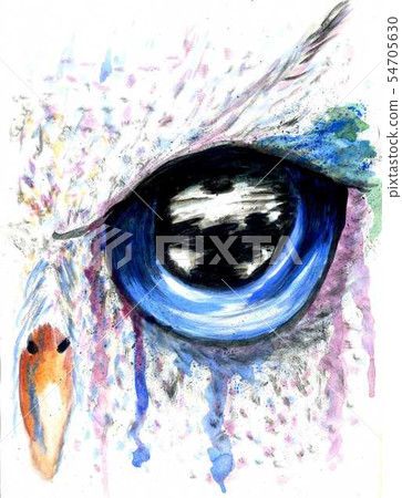 Owl Eye Art Owl Eye Art 54705630