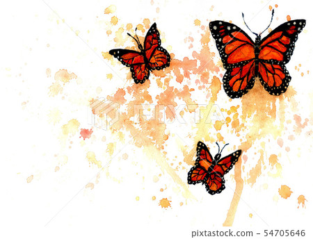Monarch Butterfly Art Monarch Butterfly Art 54705646