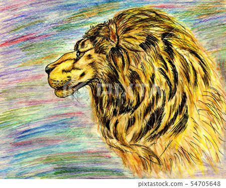 Lion Portrait 54705648