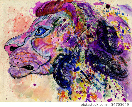 Lion Portrait 54705649
