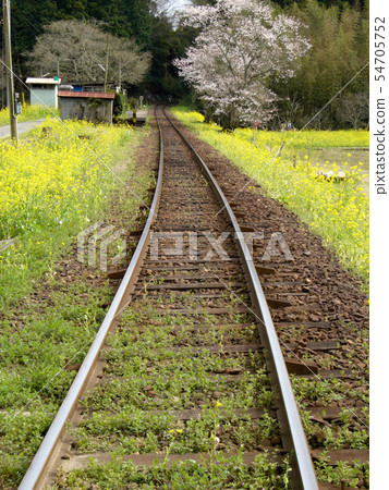 Spring Railway 54705752