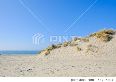 Sandy dune beach Sandy dune beach 54706805