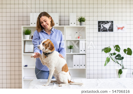 Happy dog with its owner in a veterinary clinic at the doctor's office. Close up. Soft focus. 54706816