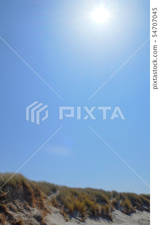 Sandy dune beach 54707045