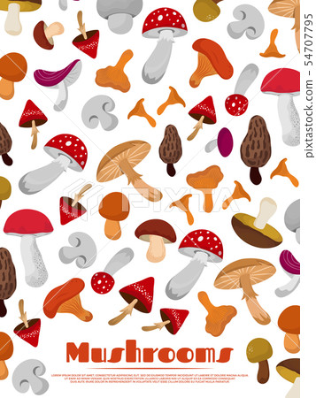 Delicacies fresh edible mushrooms poster… - Stock Illustration