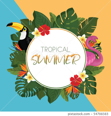 Tropical summer round frame design Tropical summer round frame design 54708383