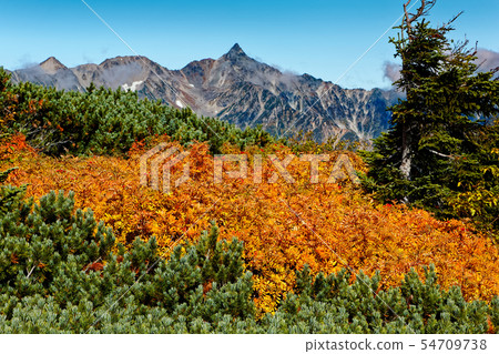 Mt. Chonaga和Mt.秋葉的看法 54709738