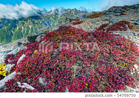 Mt. Chogatake秋葉的看法和Mt. 54709750