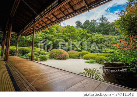 Kyoto's early summer garden Kyoto's early summer garden 54711148