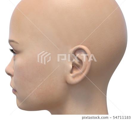 Women body parts series profile perming3DCG illustrations material 54711183