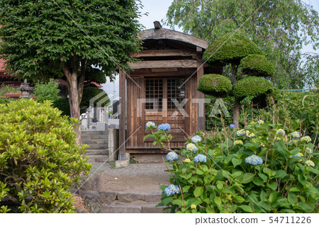 Mako-ji寺區群馬縣澀川市 Mako-ji寺區群馬縣澀川市 54711226