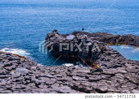 [Shizuoka Prefecture] Higashi Izu Jogasaki Coast Ohori Kojima 54711738