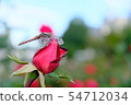 玫瑰	 54712034