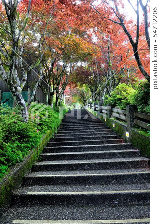 秋天的顏色 54712206