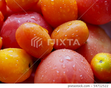 Fresh organic tomatoes and tomato with drops Fresh organic tomatoes and tomato with drops 54712522