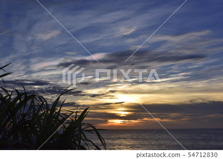 Dusk coast landscape 54712830