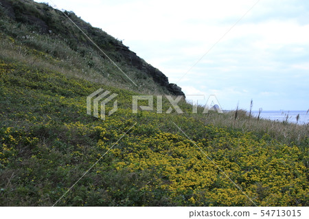 Yonggi coast, cliff, rock, promenade, Yonggi coast, cliff, rock, promenade, 54713015