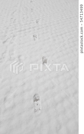 雪和腳印 雪和腳印 54713499