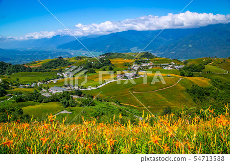 台灣花蓮富里六十石山金針花海Asia Taiwan Hualien Mountains 54713588