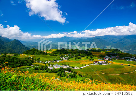 台灣花蓮富里六十石山金針花海Asia Taiwan Hualien Mountains 54713592