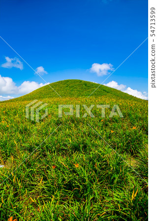 台灣花蓮富里六十石山金針花海Asia Taiwan Hualien Mountains 54713599