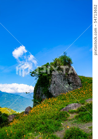 台灣花蓮富里六十石山金針花海Asia Taiwan Hualien Mountains 54713602