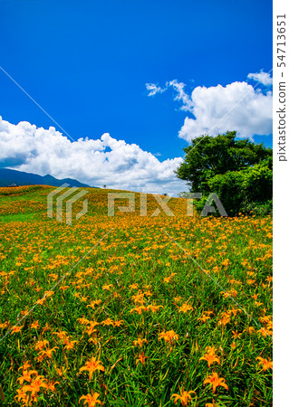 Taiwan Hualien Fuli Sixty Stone Mountain Golden Needle Flower Asia Taiwan Hualien Mountains 54713651