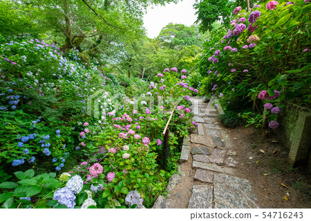 Yata Temple 54716243