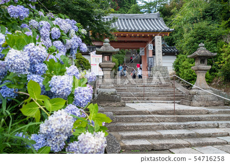 Yata Temple 54716258