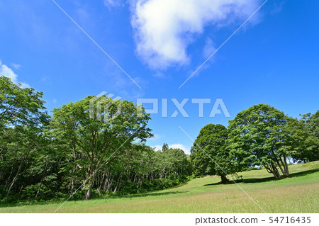 Kuragamine Ranch Kuragamine Ranch 54716435