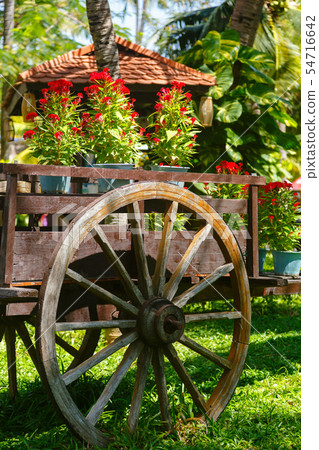 Old Wooden Wheel Decor 54716642
