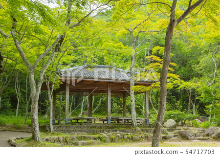 Fresh green of Tehoji Park, in Arima-cho, Kita-ku, Kobe City, Hyogo Prefecture 54717703