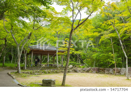 新的綠色的Tehoji公園,位於兵庫縣神戶市北區有馬町 新的綠色的Tehoji公園,位於兵庫縣神戶市北區有馬町 54717704