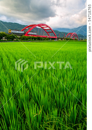台灣花蓮玉里火車風光Asia Taiwan Hualien scenery 54718765