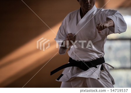 karate, empty hand, gents 54719537