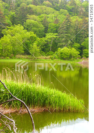 Water surface 54719565