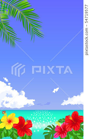 夏天熱帶背景材料02 54719577