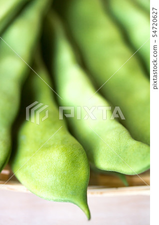 Morocco Morocco 54720627