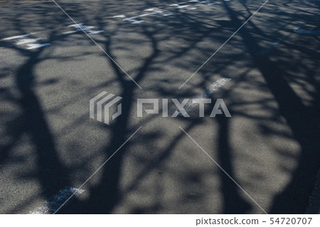 狼的影子延伸到道路 狼的影子延伸到道路 54720707