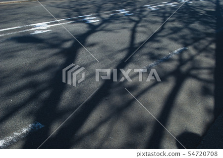 The shadow of a wolf extending to the road The shadow of a wolf extending to the road 54720708