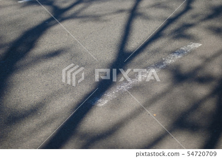 狼的影子延伸到道路 狼的影子延伸到道路 54720709