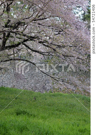 Spring in Meijo Park Spring in Meijo Park 54721406